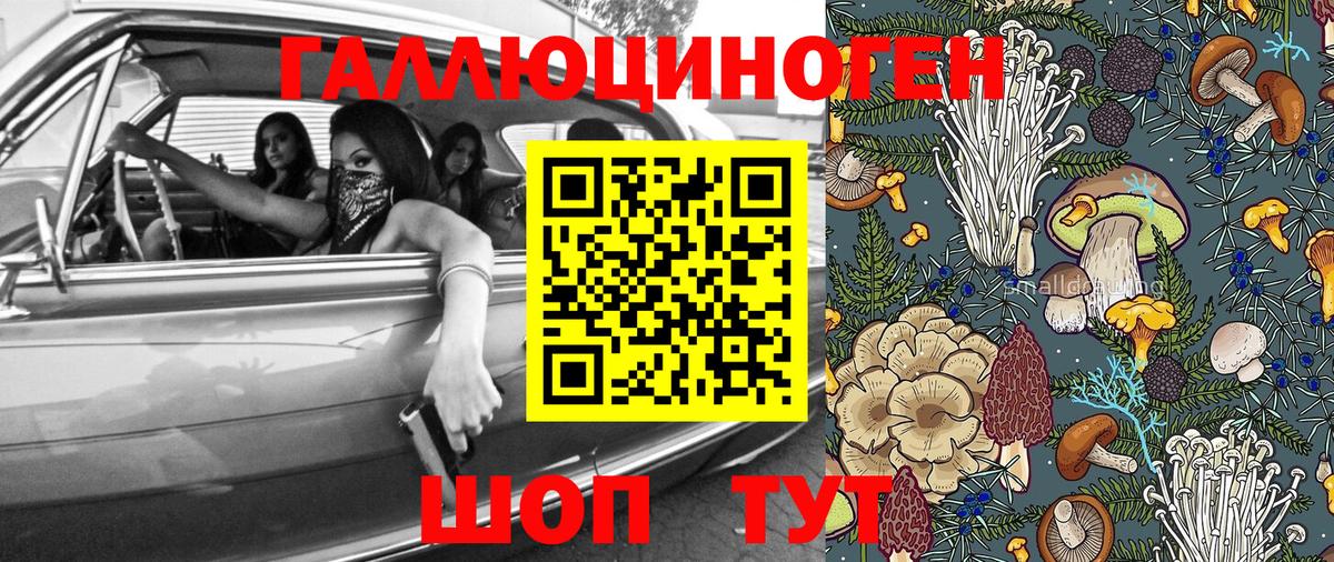 Псилоцибиновые грибы Cubensis Елабуга