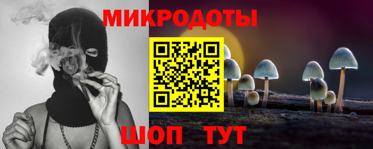 Псилоцибиновые грибы MAGIC MUSHROOMS  Вход с VPN  Елабуга  Псилоцибиновые грибы GOLDEN TEACHER 