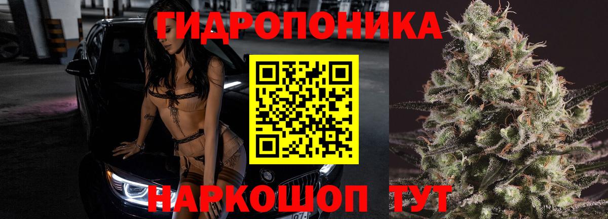Бошки Шишки Ganja Елабуга